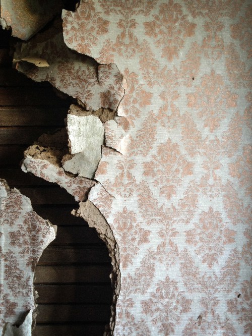 ©Shireen Nadir 2013