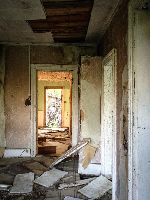 ©Shireen Nadir 2013