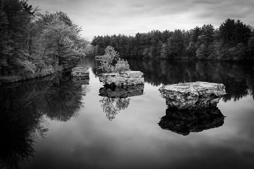 ©Shireen Nadir 2013