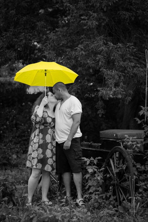 ©Shireen Nadir 2013