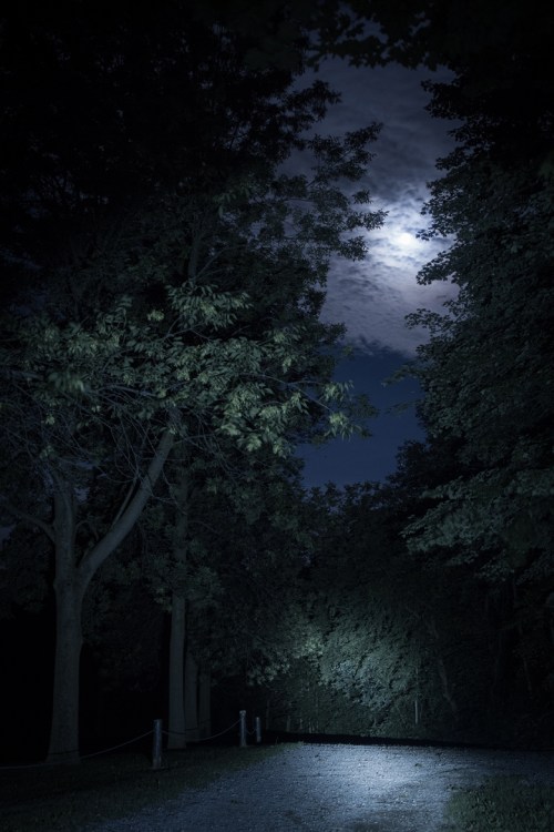 ©Shireen Nadir 2013