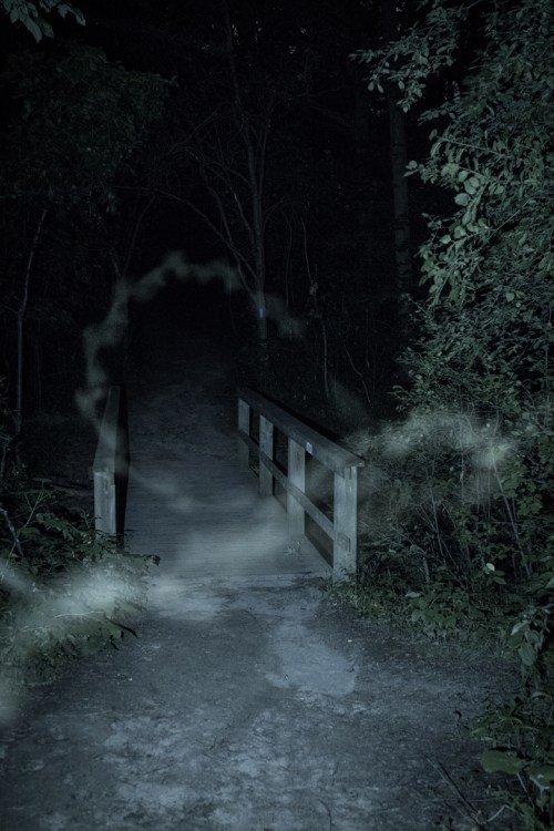 ©Shireen Nadir 2013