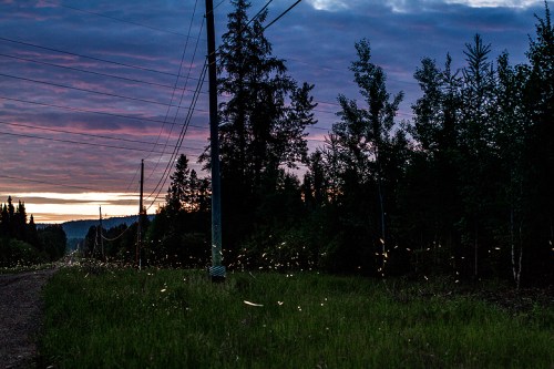 ©Shireen Nadir 2013