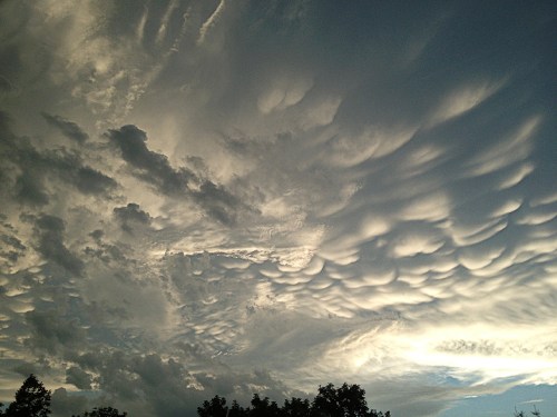 ©Shireen Nadir 2013