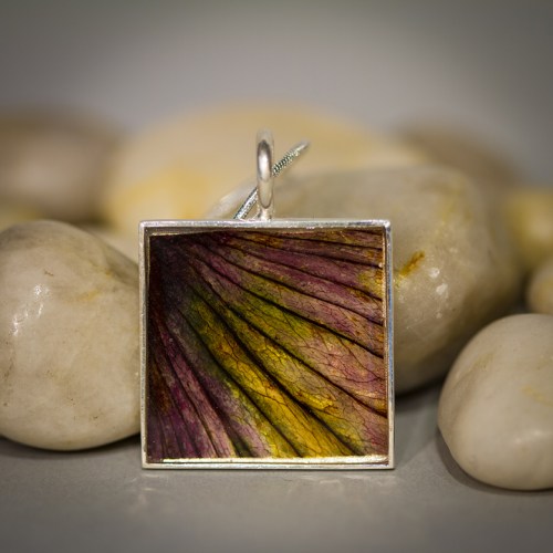 A friend's Hibiscus - I love how the colour shifted green!