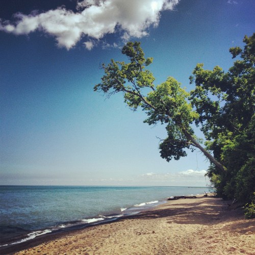 ©Shireen Nadir 2013