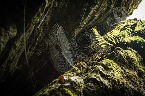 ©Shireen Nadir 2013