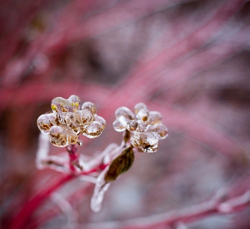 Leslie Street Spit ©Shireen Nadir 2013