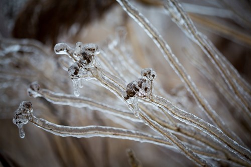 Leslie Street Spit ©Shireen Nadir 2013