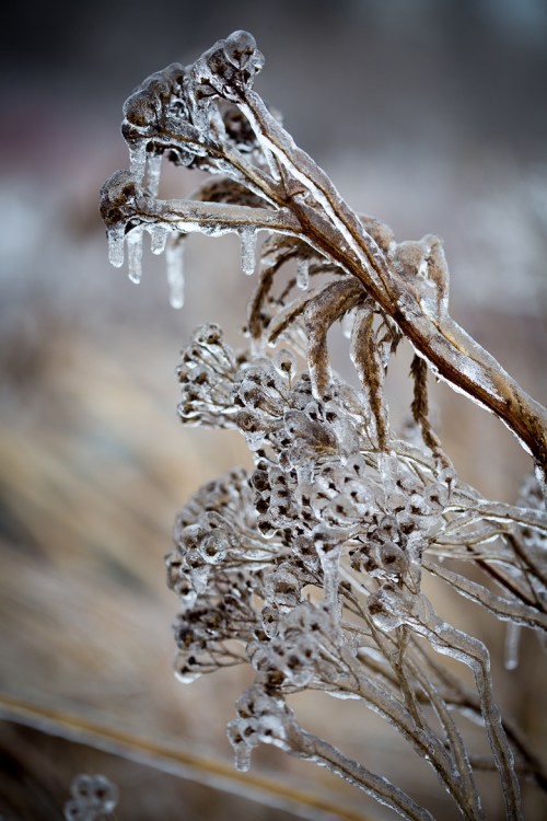 Leslie Street Spit ©Shireen Nadir 2013