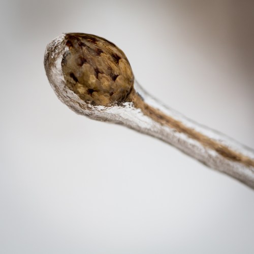 Leslie Street Spit ©Shireen Nadir 2013