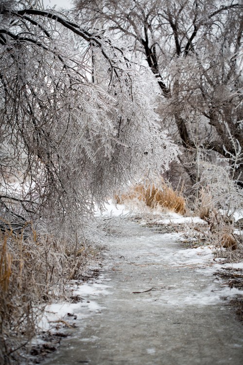 Leslie Street Spit ©Shireen Nadir 2013
