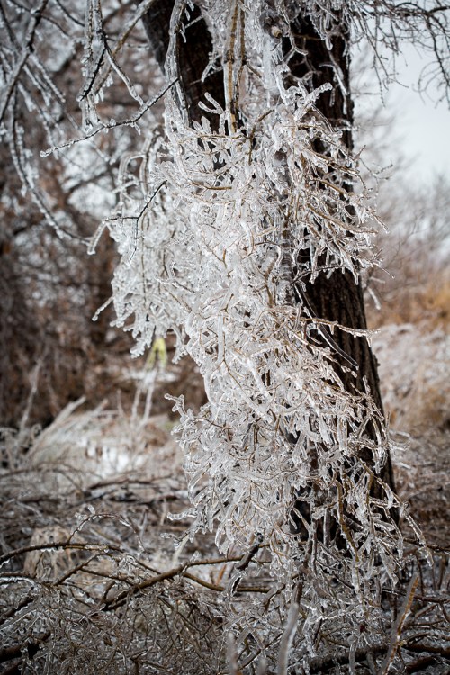 Leslie Street Spit ©Shireen Nadir 2013