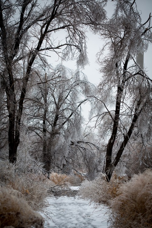 Leslie Street Spit ©Shireen Nadir 2013