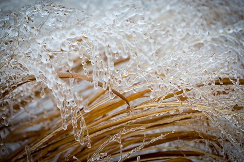 Leslie Street Spit ©Shireen Nadir 2013