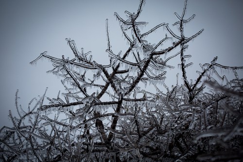 Leslie Street Spit ©Shireen Nadir 2013