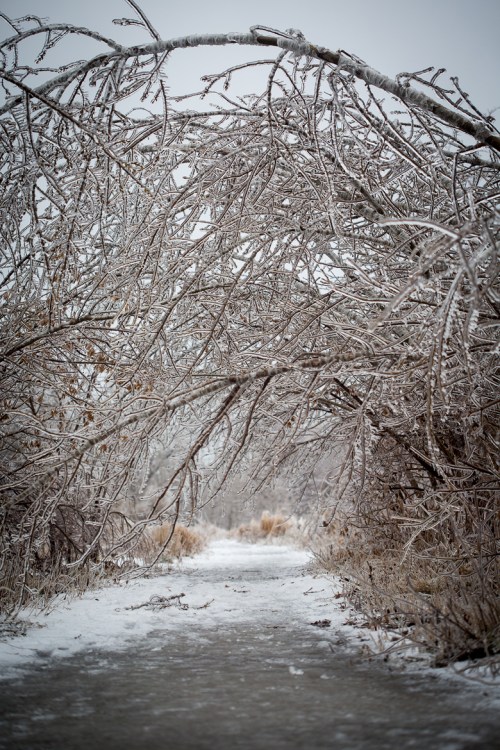 Leslie Street Spit ©Shireen Nadir 2013