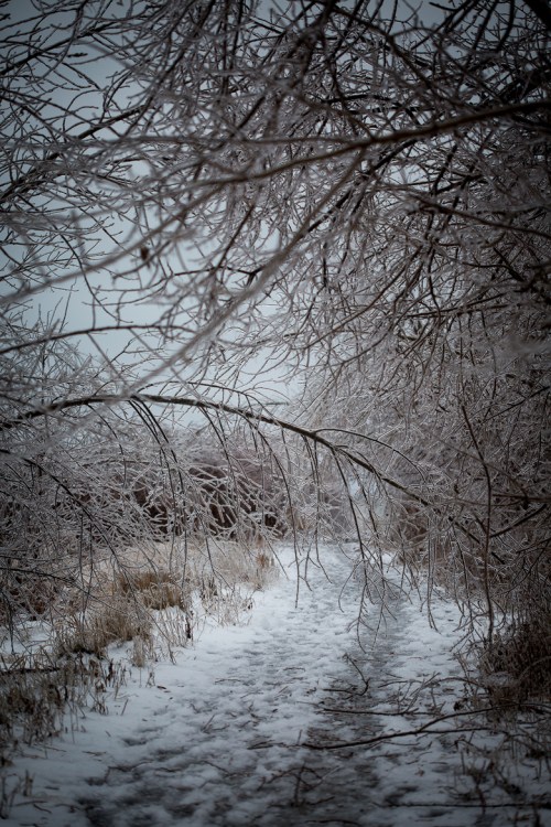 Leslie Street Spit ©Shireen Nadir 2013