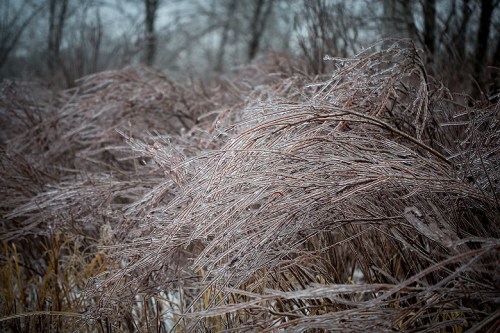 Leslie Street Spit ©Shireen Nadir 2013