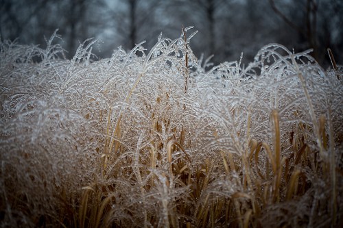 Leslie Street Spit ©Shireen Nadir 2013