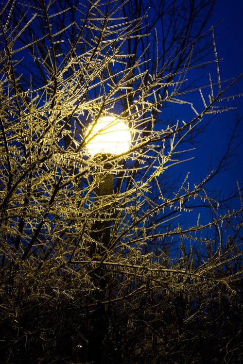 Ice Storm ©Shireen Nadir 2013