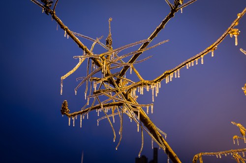 Ice Storm ©Shireen Nadir 2013