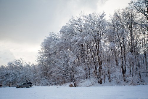 Ice Storm ©Shireen Nadir 2013