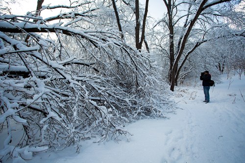 Ice Storm ©Shireen Nadir 2013