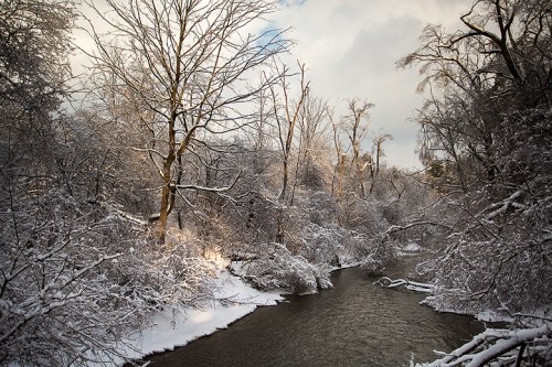 Ice Storm ©Shireen Nadir 2013