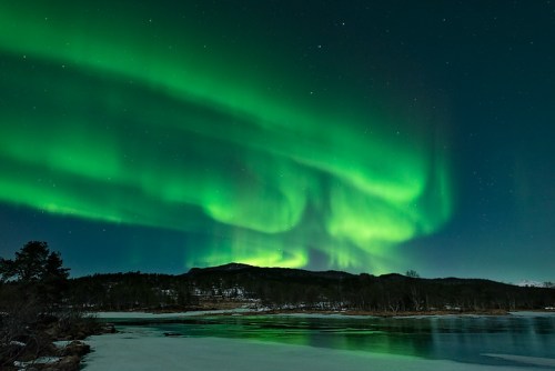 Taken by Rune Engebø on September 1, 2014 @ Tennevika, Troms, Norway