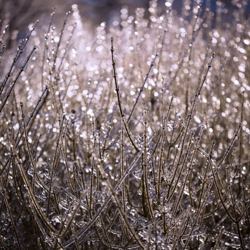 The ice storm in Toronto last Christmas