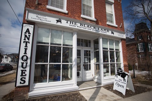 The Black Lamb ©Shireen Nadir 2014