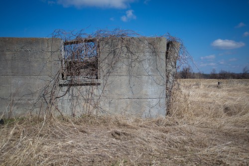 ©Shireen Nadir 2014