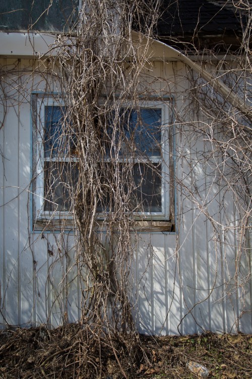 ©Shireen Nadir 2014