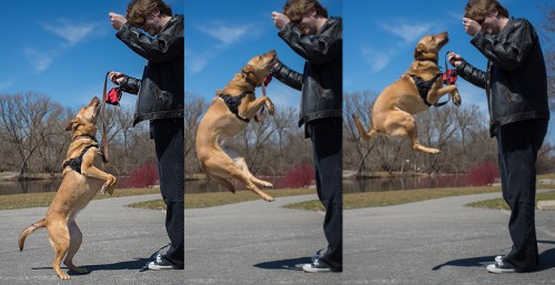 ©Shireen Nadir 2014