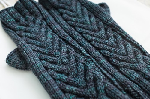 Los Guantes De Claudia ©Shireen Nadir 2014