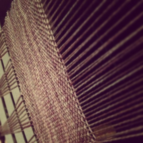 Tito and I's first few inches