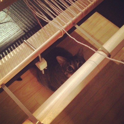 Our Junior Foreman, supervising the weft.