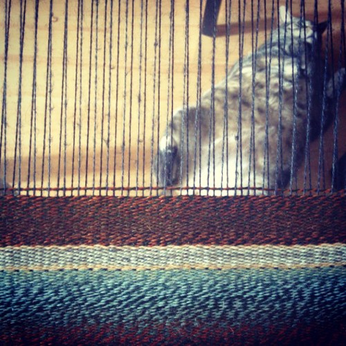 ©Shireen Nadir 2014