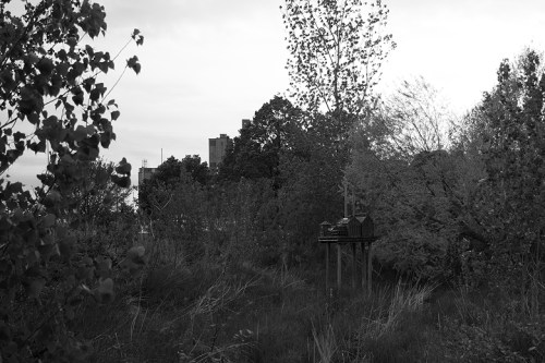 Infrared Photography ©Shireen Nadir 2014