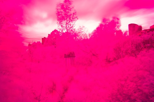 Infrared photography, Hoya R72 Filter
