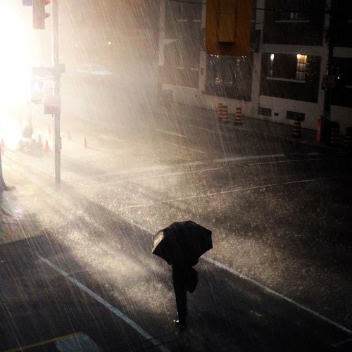 ©Shireen Nadir 2014