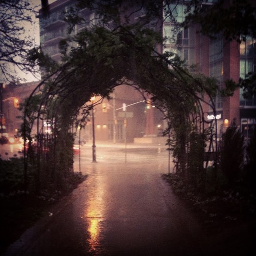 ©Shireen Nadir 2014