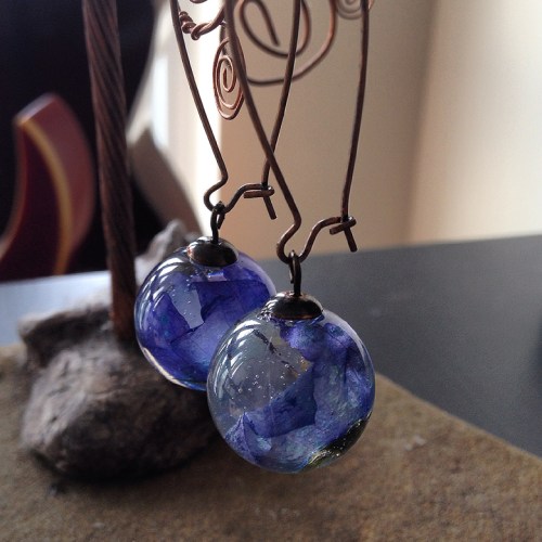 Creeping Bellflowers