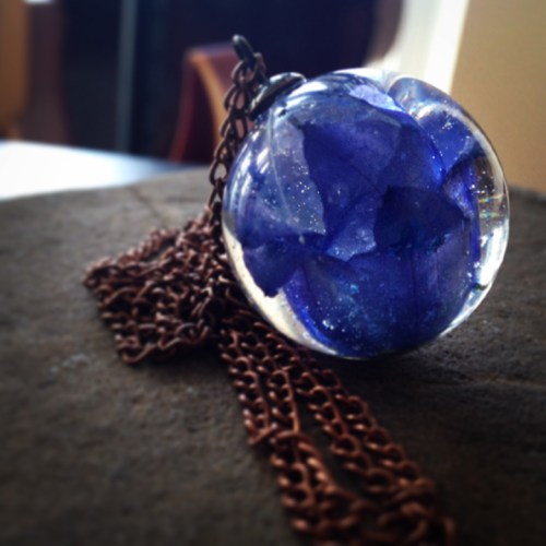 Creeping Bellflowers