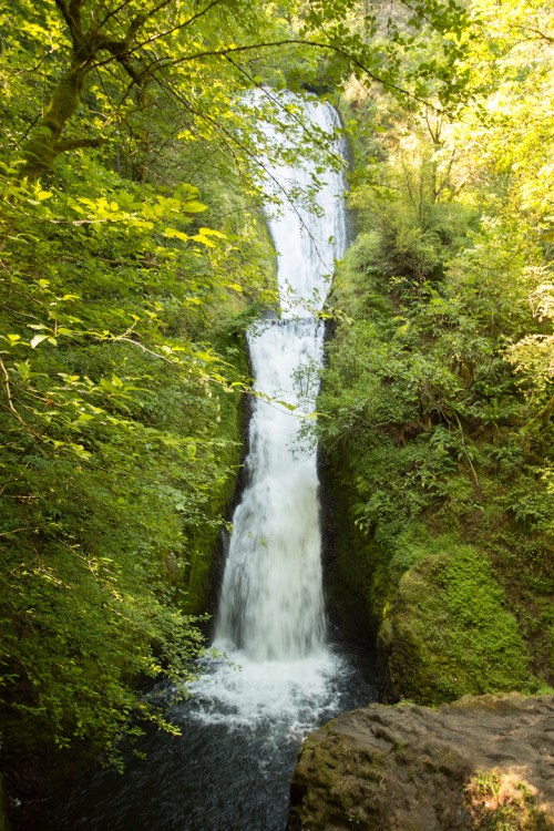 ©Shireen Nadir 2014