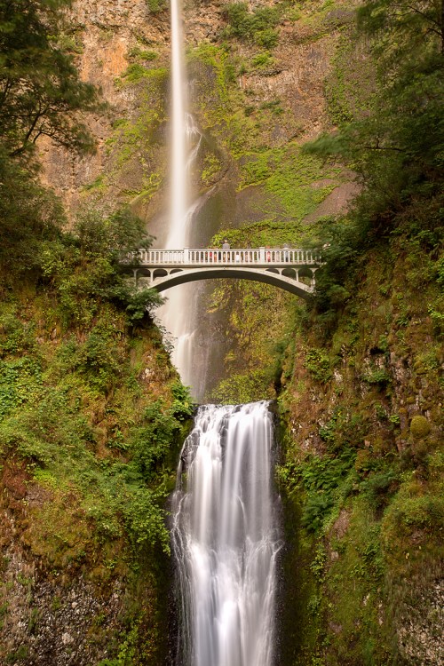 ©Shireen Nadir 2014