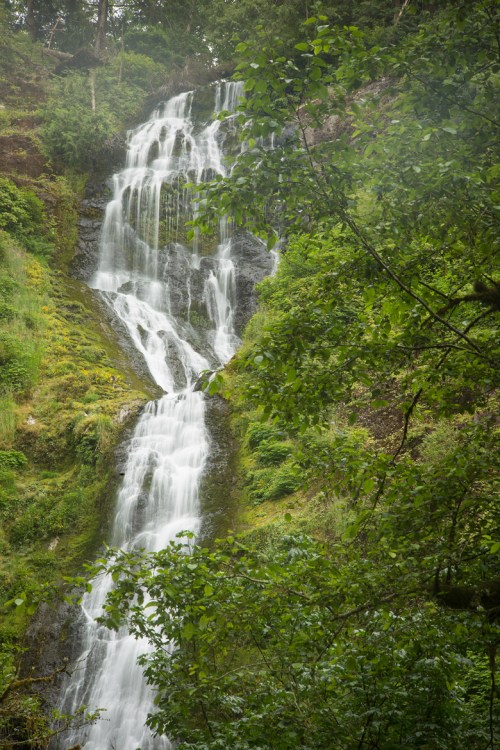 ©Shireen Nadir 2014