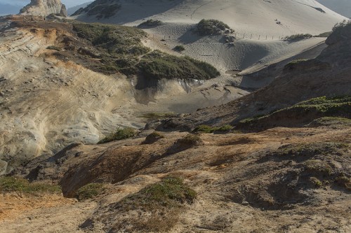 ©Shireen Nadir 2014