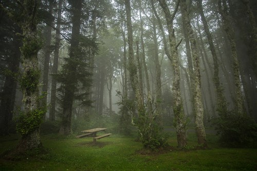 Cape Perpetua ©Shireen Nadir 2014